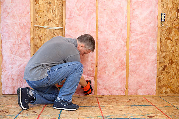 Best Commercial Insulation in Apex, NC